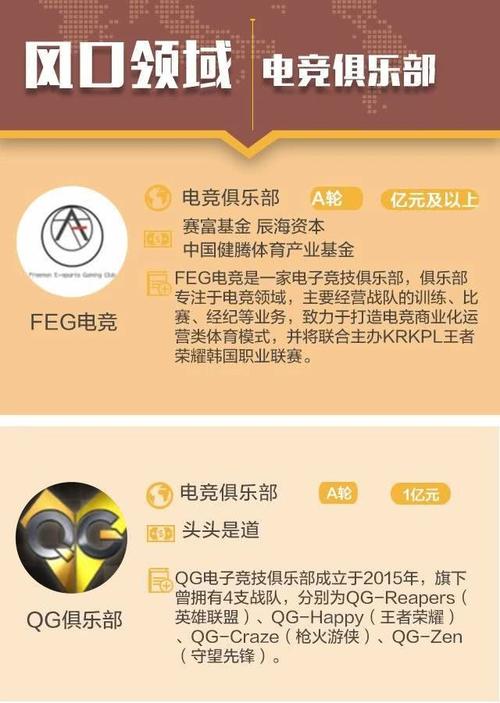 包含《电竞游戏中的“隐藏内容”：探索幕后奥秘》的词条