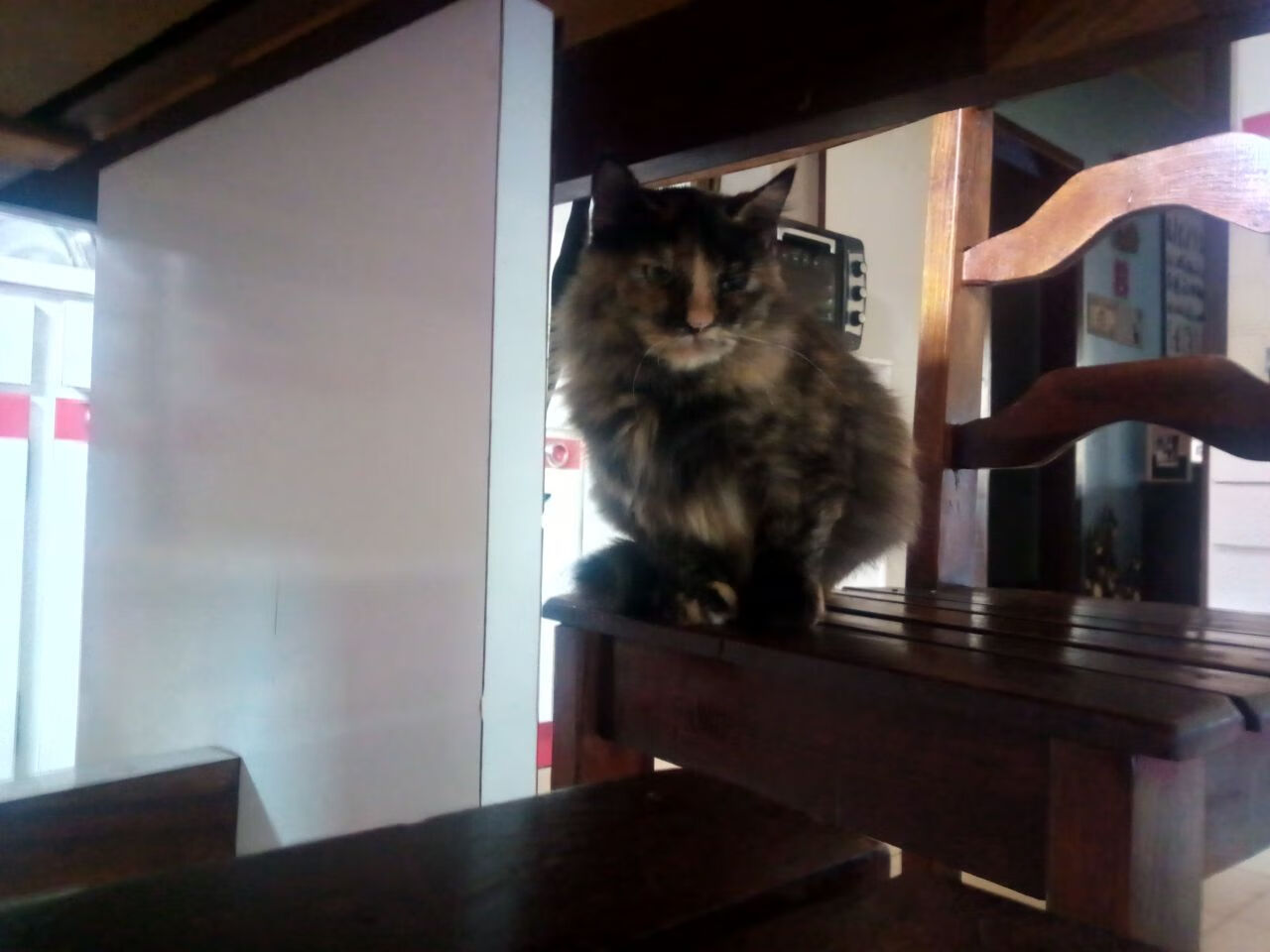 AI智能分析助力青训，培养未来足球精英，足球人工智能大数据预测