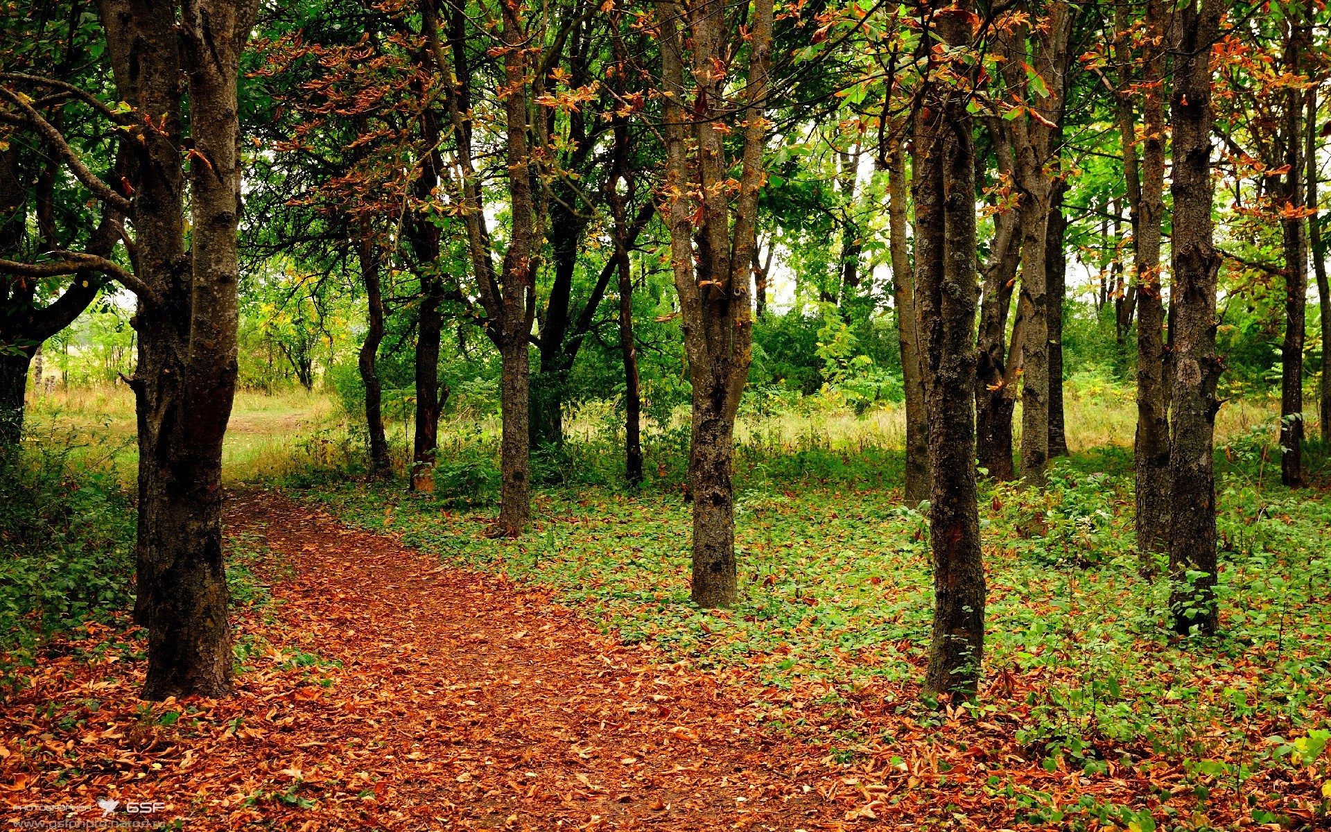 _大师杯迎来年度终极对决，冠军悬念持续升温_，大师杯2020