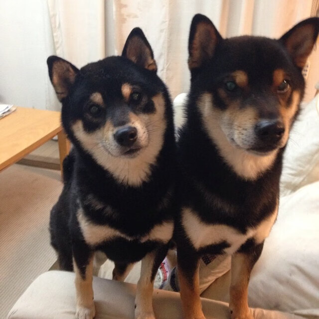 _老将带领奇才，战斗精神永不言弃_，老将上战场的诗句