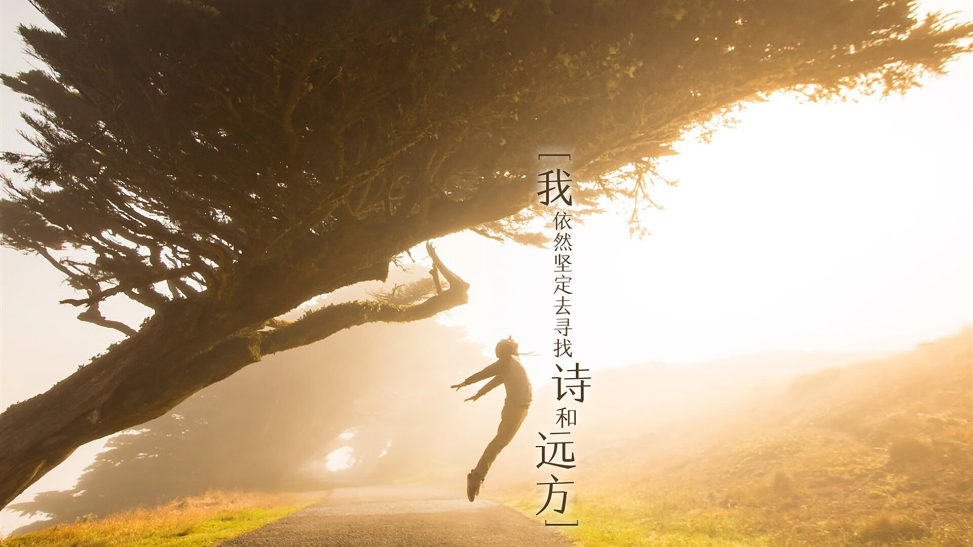 《重大赛事临近:赛事前的幕后准备工作》,重大赛事活动