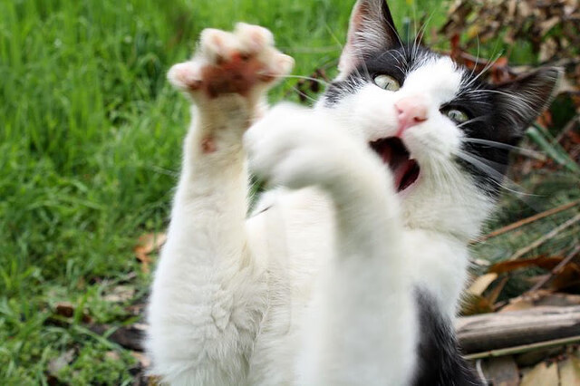 广场舞促进城乡文化交流，广场舞与社区文化建设调查