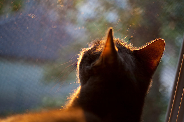 RNG选手参加国家级电竞运动员身体机能测试,rng电子竞技俱乐部选手