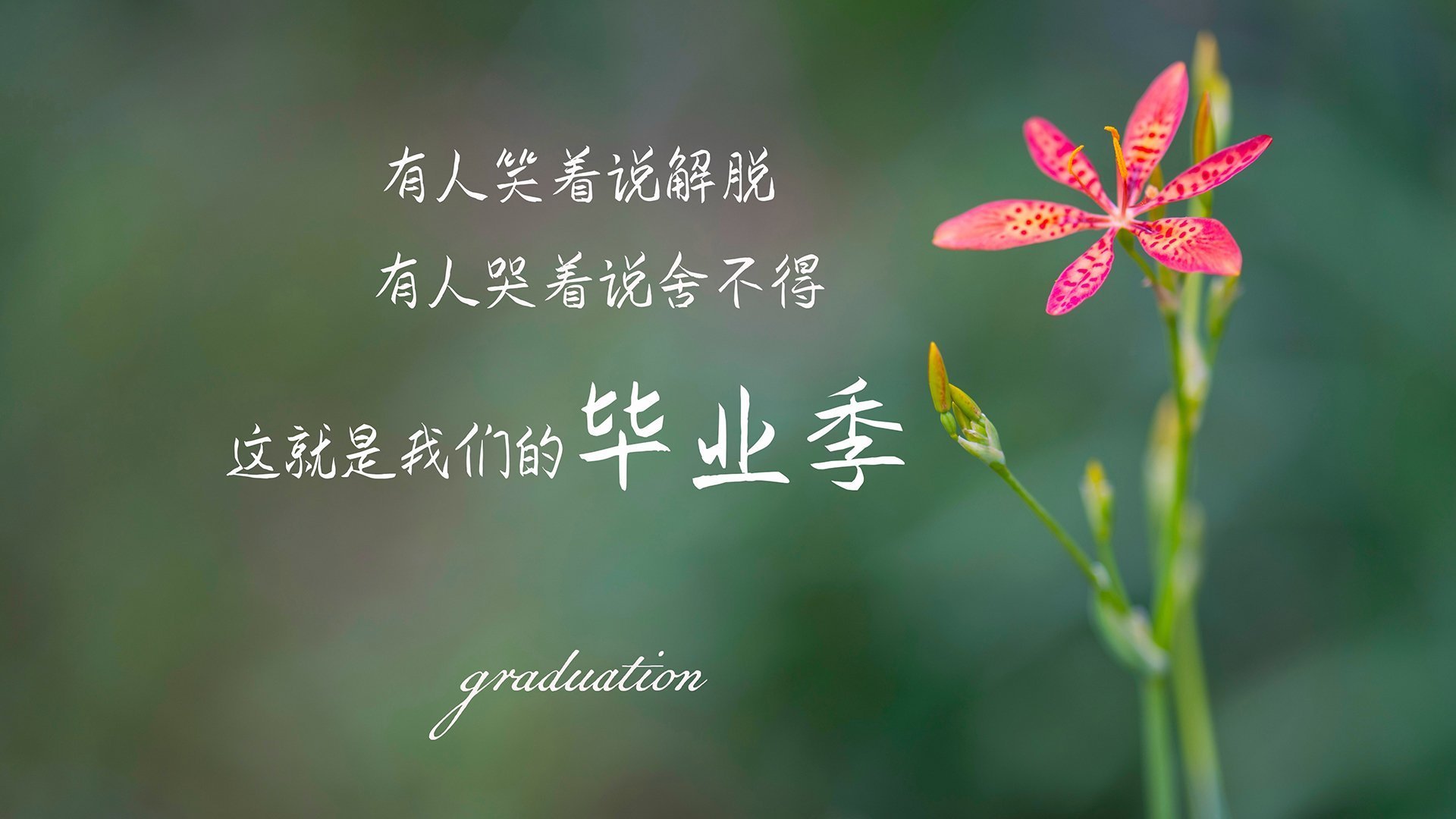 女足世界杯球队训练基地曝光,女足世界杯球队训练基地曝光视频