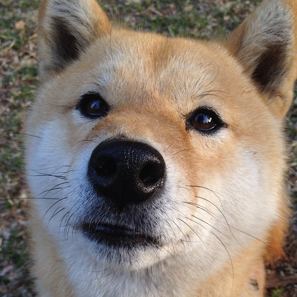 快船完封步行者,乔治带领球队完成16分逆转,nba快船乔治