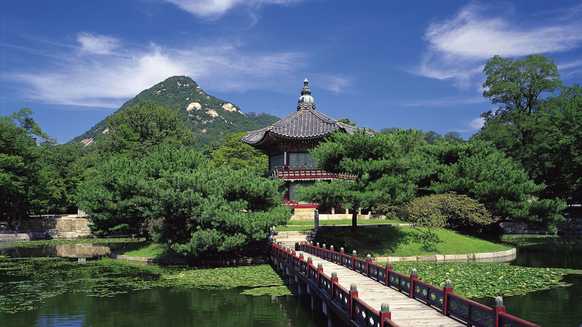 摩托GP选手法比奥·夸塔拉罗赢得2024年世界冠军,法比奥 夸塔拉罗