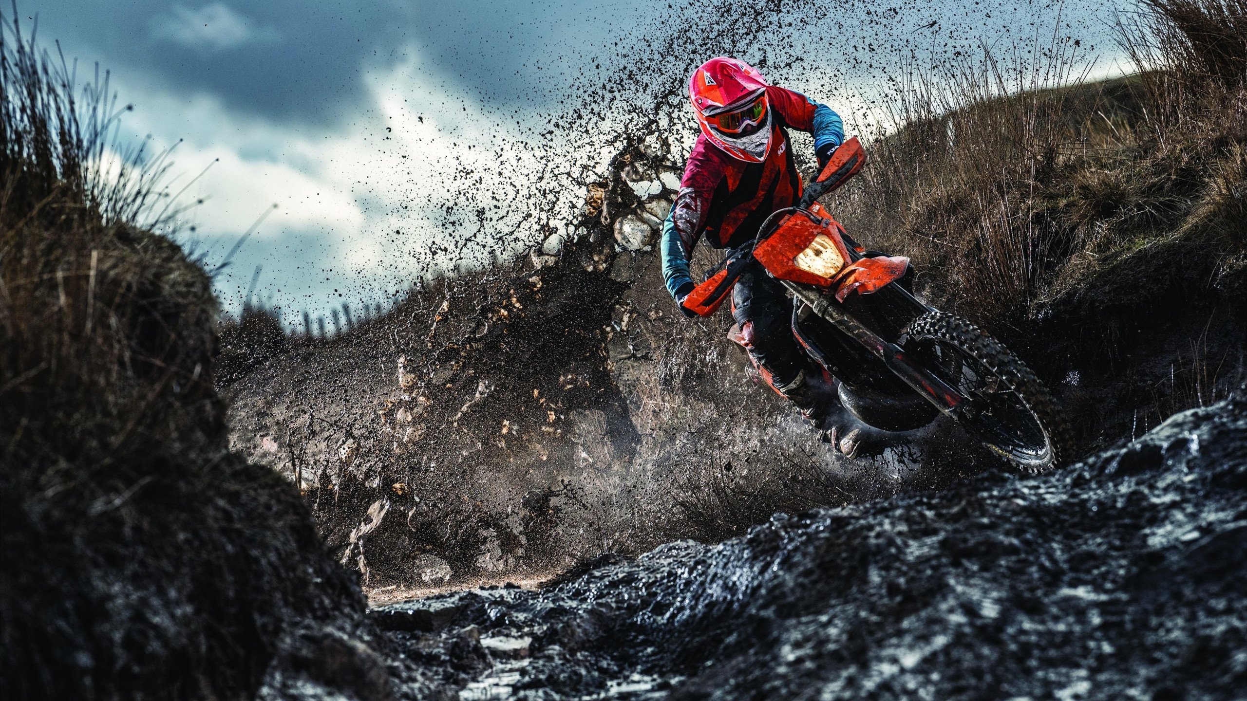 猛龙锋线伤情有所好转，球队士气大增，19年猛龙中锋