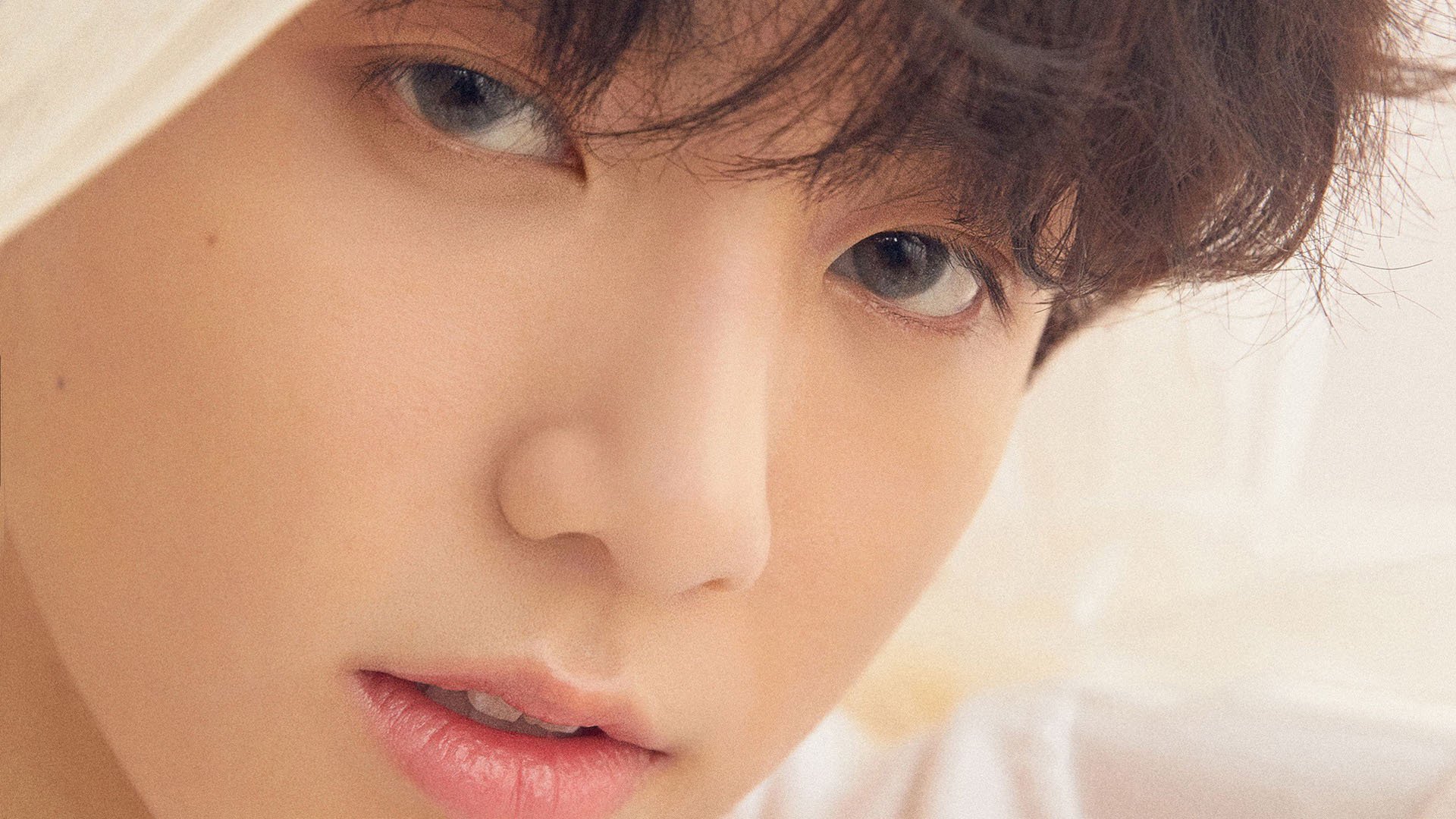 谢菲联客场血战,最终一球小胜,球队扭转颓势,谢菲联俱乐部