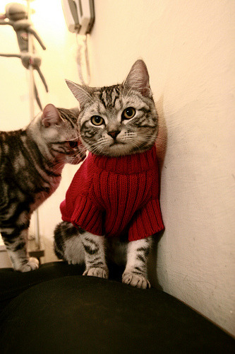 马尔基尼奥斯入选意大利国家队，将为国出战，马尔基尼奥斯水平