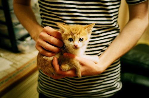 2024年埃及队表现：逐步缩小与顶级队伍的差距，埃及能进季后赛吗