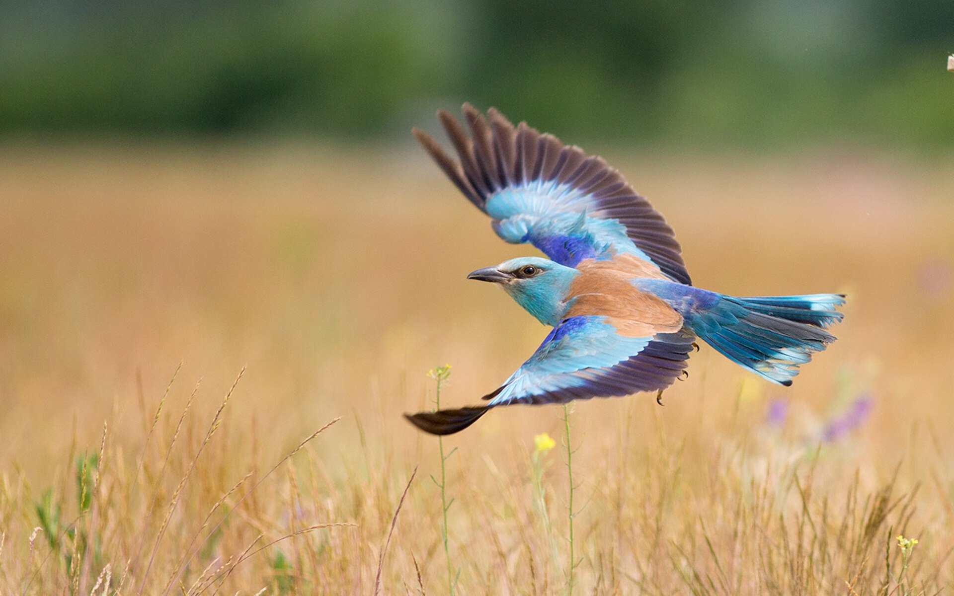 中国足球品牌形象塑造难点,中国足球十大制造品牌