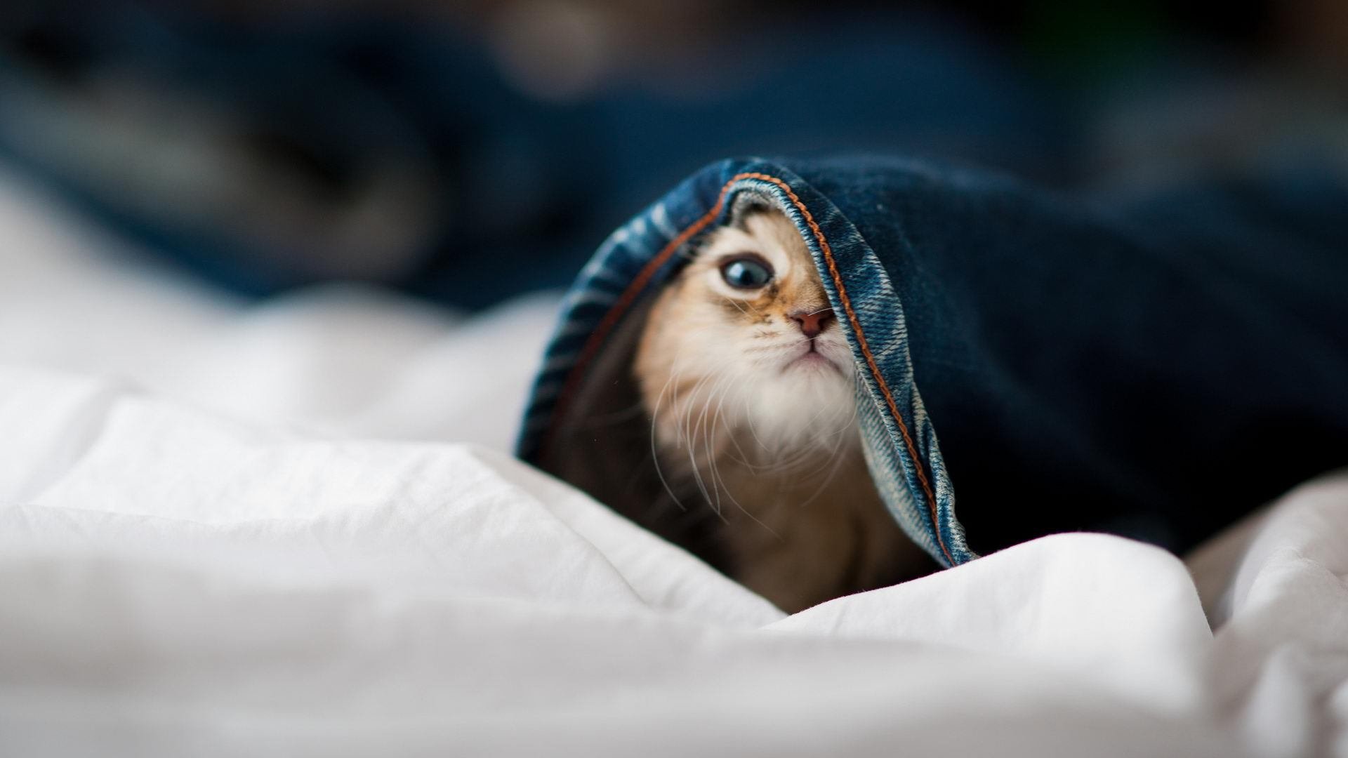 国际乒联发布2024混合团体世界杯赛制新规，国际乒联发布2024混合团体世界杯赛制新规定