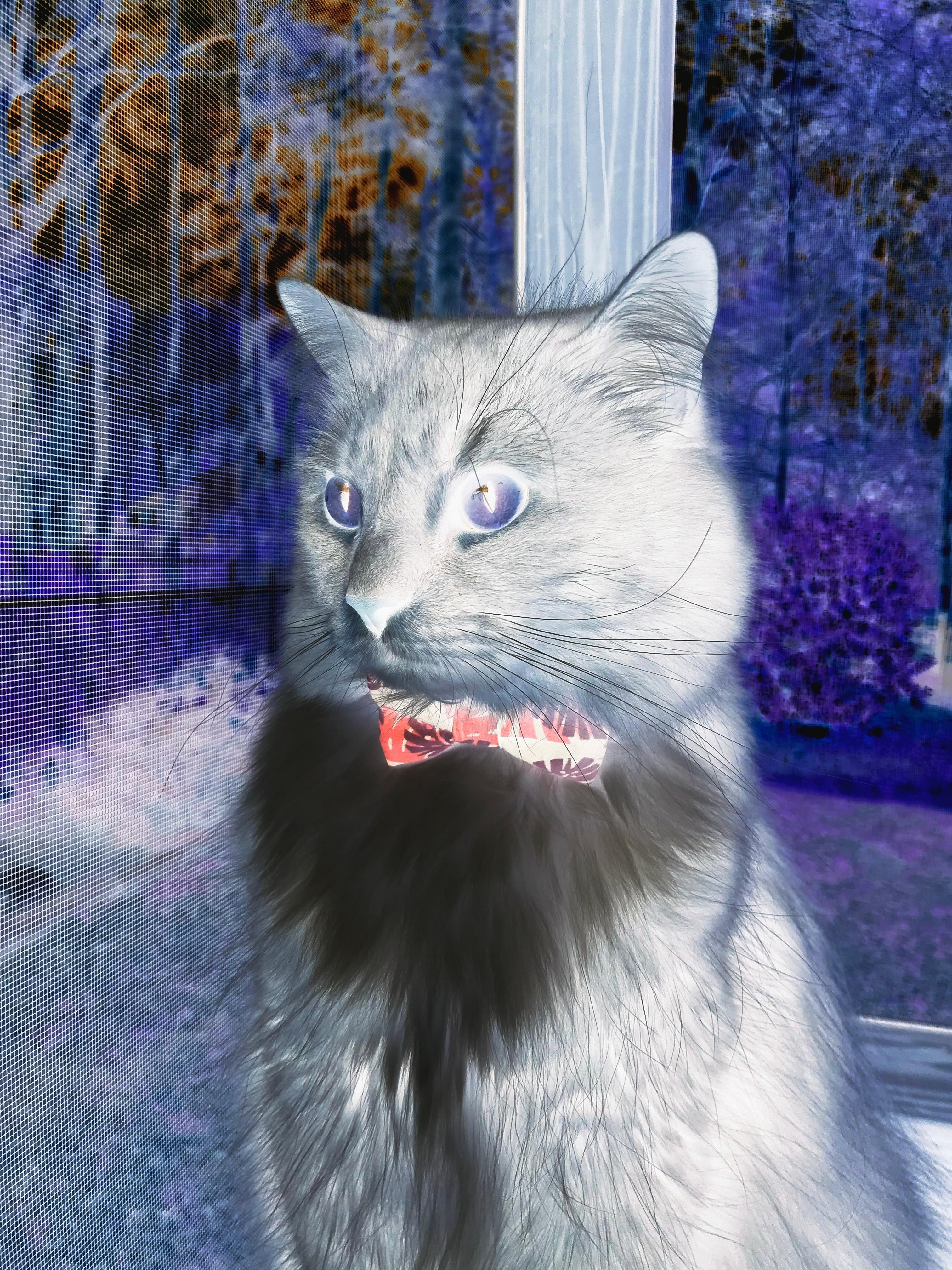 马赛强攻开局迅速确立领先优势,马赛分析